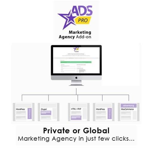 Ads pro add on wordpress marketing agency - World Plugins GPL - Gpl plugins cheap
