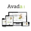 Avada theme responsive multi purpose theme - World Plugins GPL - Gpl plugins cheap