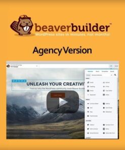 Beaver builder plugin agency version - World Plugins GPL - Gpl plugins cheap