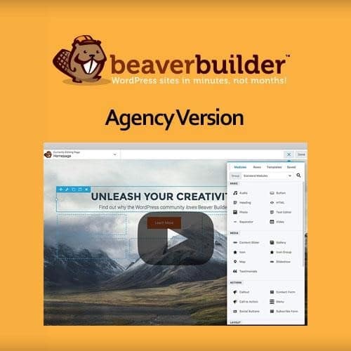 Beaver builder plugin agency version - World Plugins GPL - Gpl plugins cheap