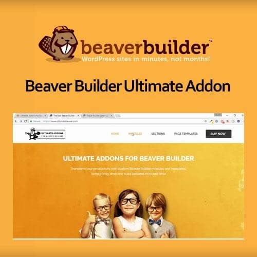 Beaver builder ultimate addon - World Plugins GPL - Gpl plugins cheap