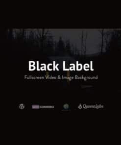 Black label fullscreen video and image background - World Plugins GPL - Gpl plugins cheap