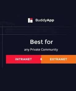 Buddyapp mobile first community wordpress theme - World Plugins GPL - Gpl plugins cheap