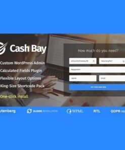 Cash bay banking and payday loans wordpress theme - World Plugins GPL - Gpl plugins cheap