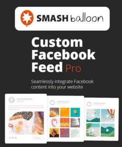 Custom facebook feed pro by smash balloon - World Plugins GPL - Gpl plugins cheap