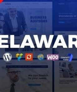 Delaware consulting and finance wordpress theme - World Plugins GPL - Gpl plugins cheap