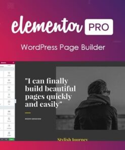 Elementor pro wordpress page builder and pro templates - World Plugins GPL - Gpl plugins cheap