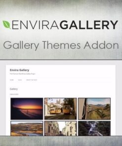 Envira gallery gallery themes addon - World Plugins GPL - Gpl plugins cheap