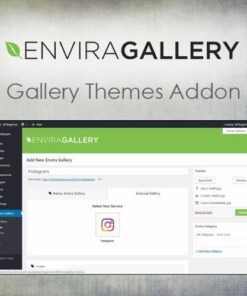 Envira gallery instagram addon - World Plugins GPL - Gpl plugins cheap