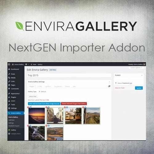 Envira gallery nextgen importer addon - World Plugins GPL - Gpl plugins cheap