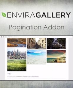 Envira gallery pagination addon - World Plugins GPL - Gpl plugins cheap