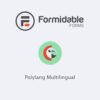 Formidable forms polylang multilingual - World Plugins GPL - Gpl plugins cheap