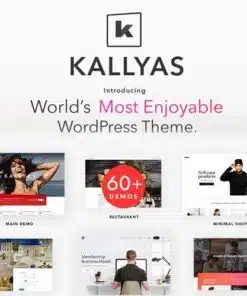 Kallyas creative ecommerce multi purpose wordpress theme - World Plugins GPL - Gpl plugins cheap