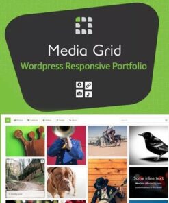 Media grid wordpress responsive portfolio - World Plugins GPL - Gpl plugins cheap