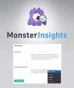 Monsterinsights performance addon - World Plugins GPL - Gpl plugins cheap