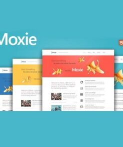 Moxie responsive theme for wordpress - World Plugins GPL - Gpl plugins cheap