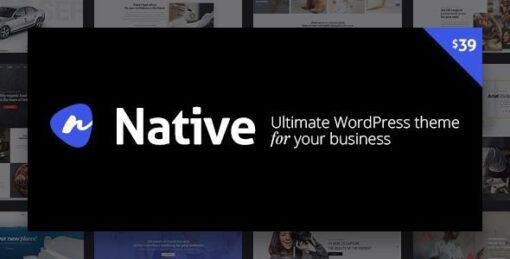 Native stylish multi purpose creative wp theme - World Plugins GPL - Gpl plugins cheap