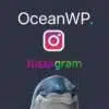 Oceanwp instagram - World Plugins GPL - Gpl plugins cheap