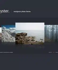 Oyster creative photo wordpress theme - World Plugins GPL - Gpl plugins cheap
