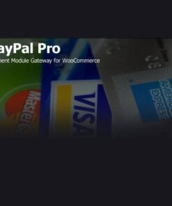 Paypal pro payment module for woocommerce - World Plugins GPL - Gpl plugins cheap
