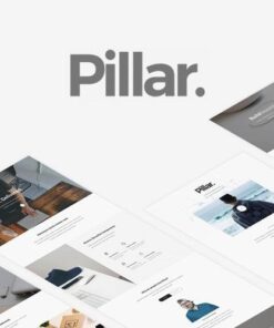 Pillar multipurpose multi concept responsive wordpress theme - World Plugins GPL - Gpl plugins cheap