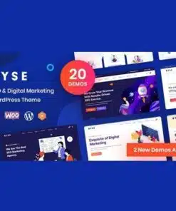 Ryse seo and digital marketing theme - World Plugins GPL - Gpl plugins cheap