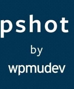 Shopifiq responsive wordpress woocommerce theme - World Plugins GPL - Gpl plugins cheap