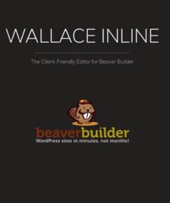 Wallace inline front end content editor for beaver builder - World Plugins GPL - Gpl plugins cheap
