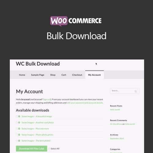 Woocommerce bulk download - World Plugins GPL - Gpl plugins cheap