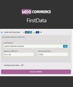 Woocommerce firstdata - World Plugins GPL - Gpl plugins cheap