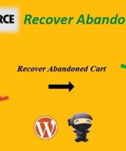 Woocommerce recover abandoned cart - World Plugins GPL - Gpl plugins cheap
