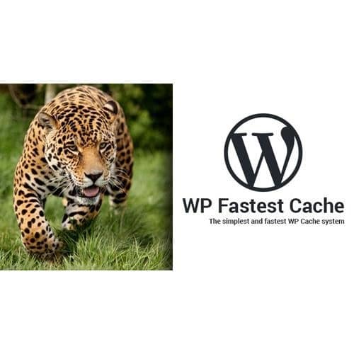 Wp fastest cache wordpress plugin premium - World Plugins GPL - Gpl plugins cheap