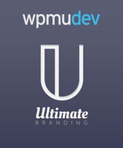 Wpmu dev ultimate branding - World Plugins GPL - Gpl plugins cheap